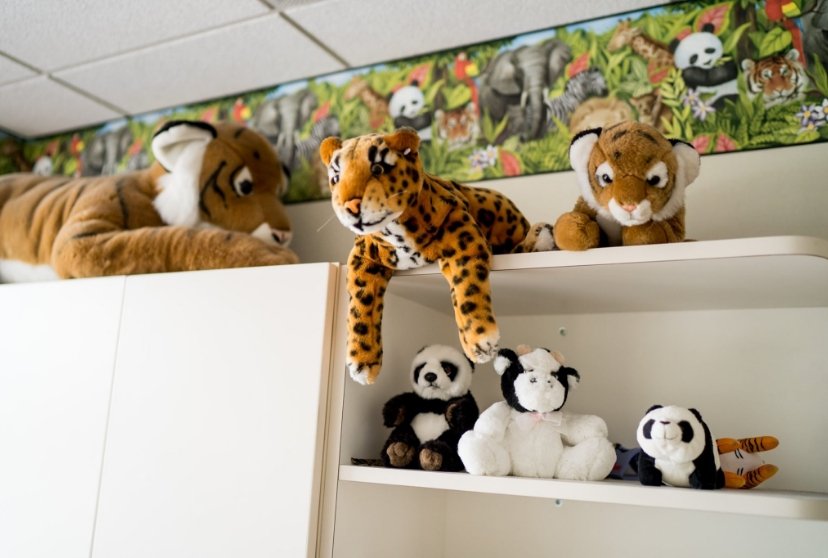 Pediatric dental office toy shelf in waiting room